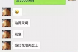 成都融资清欠服务